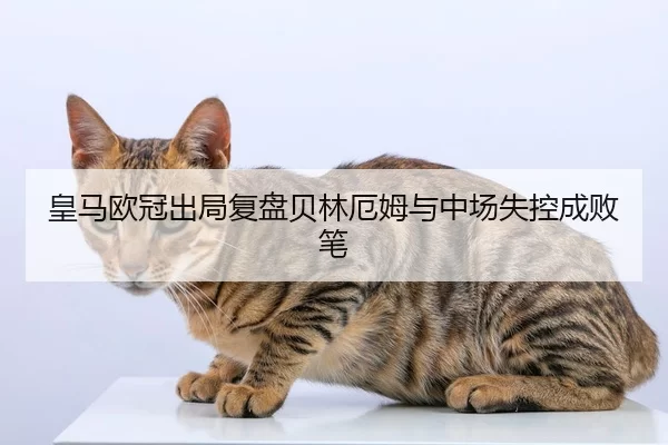 皇马欧冠出局复盘贝林厄姆与中场失控成败笔